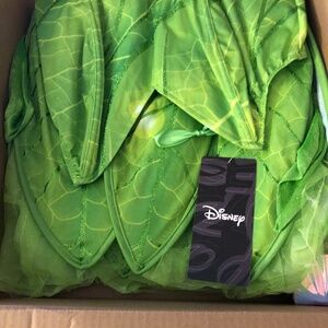 Tinker bell custom